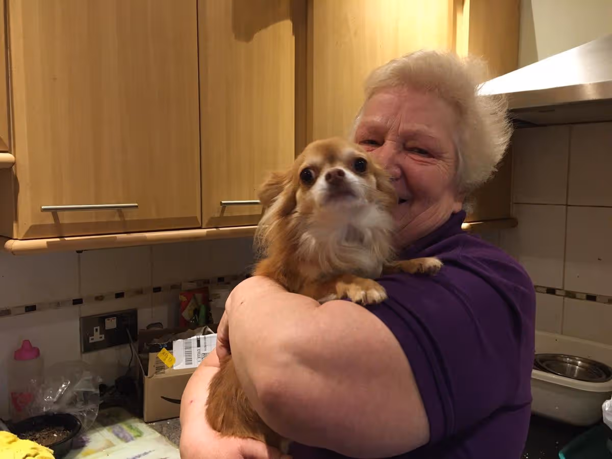 Jan's Dog Rescue photo 1