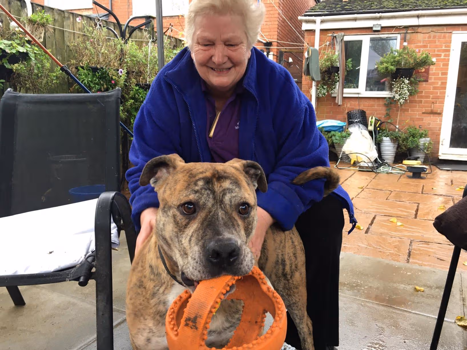 Jan's Dog Rescue photo 2