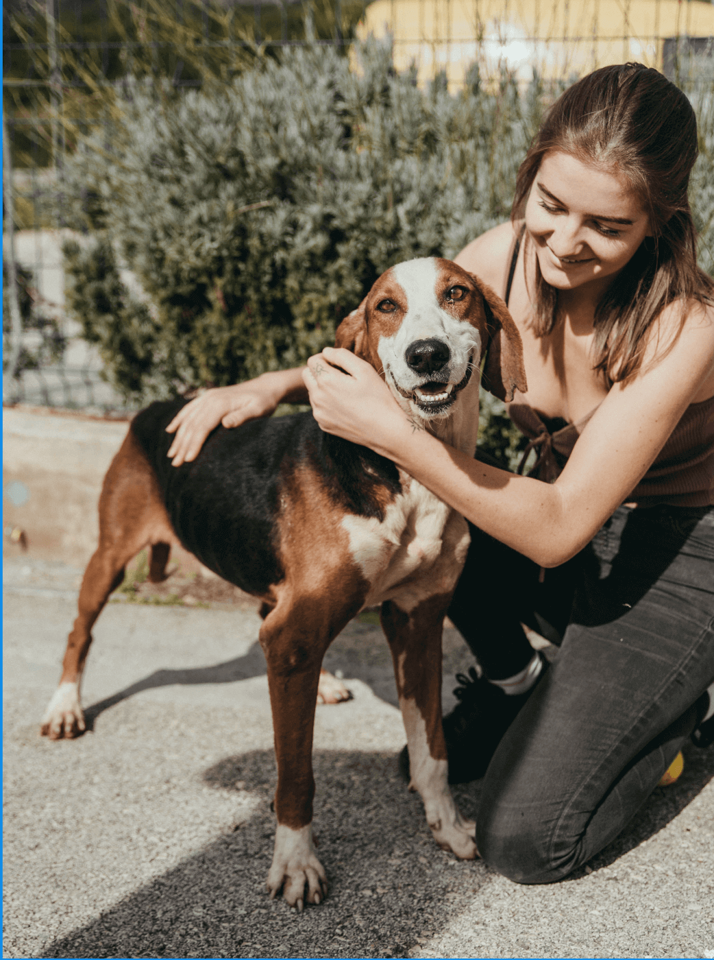 Bestie Animal Protection Foundation