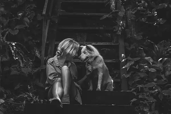 A dog cared for by Mission Paws’ible