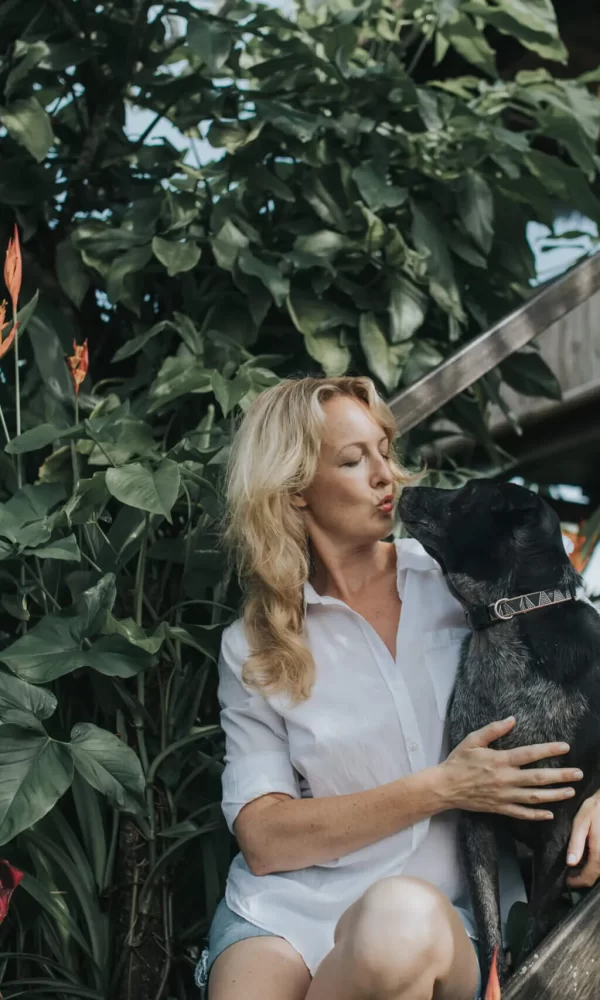 Dogs supported by Mission Paws’ible